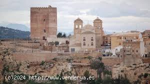 PARCELA   PARA CONSTUIR SU VIVIENDA IDEAL EN LAS AFUERAS DE ALEDO - MURCIA