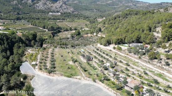 Fantástico terreno rústico para construir a la venta en Chirles-Polop - ALICANTE