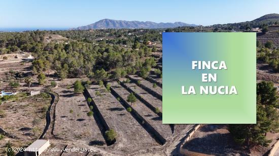 Finca rústica con proyecto y licencia de construcción en La Nucia - ALICANTE