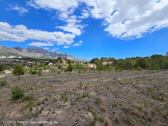 Finca rústica con proyecto y licencia de construcción en La Nucia - ALICANTE