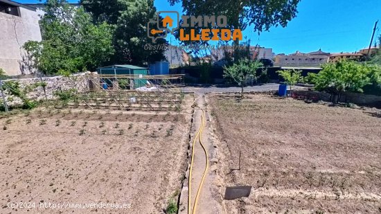 Suelo rústico en venta  en Agramunt - Lleida