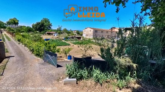 Suelo rústico en venta  en Agramunt - Lleida