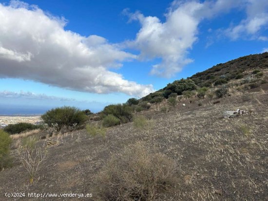 SE VENDE Este terreno en VISCO ALTO es ideal para quienes desean emprender un proyecto agrícola