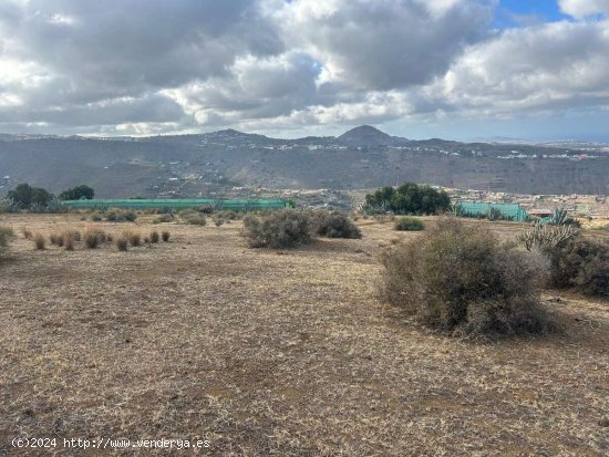 SE VENDE Este terreno en VISCO ALTO es ideal para quienes desean emprender un proyecto agrícola