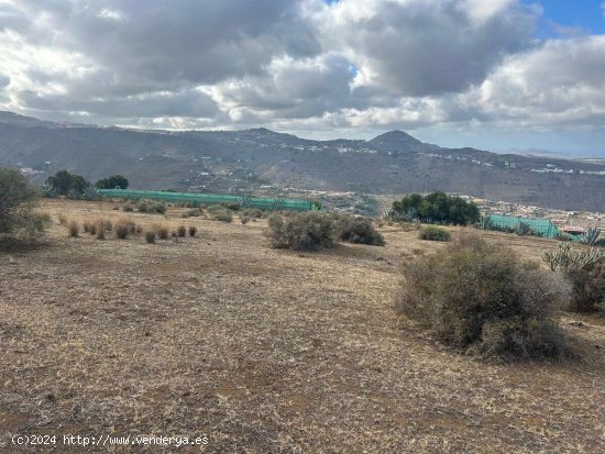 SE VENDE Este terreno en VISCO ALTO es ideal para quienes desean emprender un proyecto agrícola