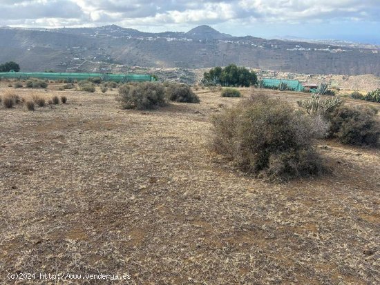 SE VENDE Este terreno en VISCO ALTO es ideal para quienes desean emprender un proyecto agrícola