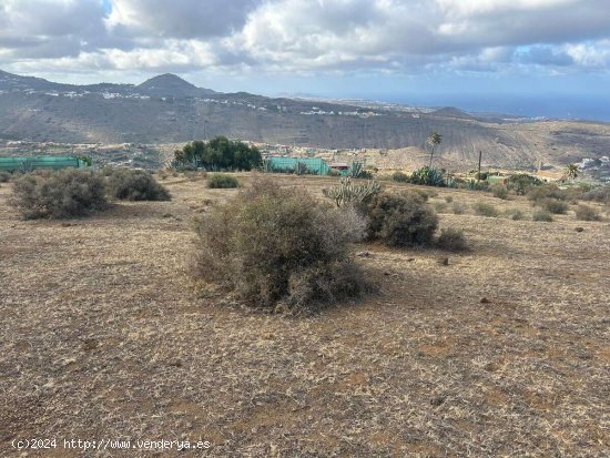 SE VENDE Este terreno en VISCO ALTO es ideal para quienes desean emprender un proyecto agrícola