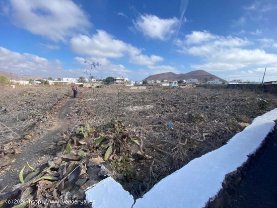 SE VENDE Estupendas parcelas en Guatiza - Teguise