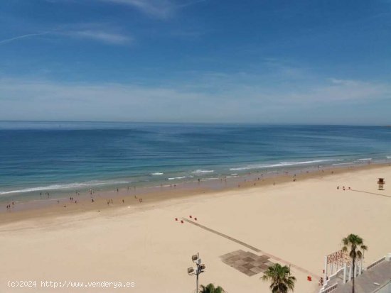 Edificio Viviendas en Alquiler en Cádiz Cádiz