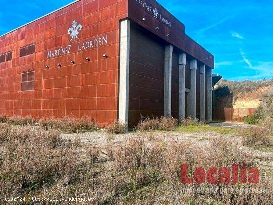 Amplia bodega de vinos en Cenicero, La Rioja