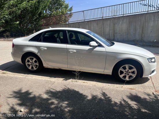 Audi A4 2.0 TDI - Burgos