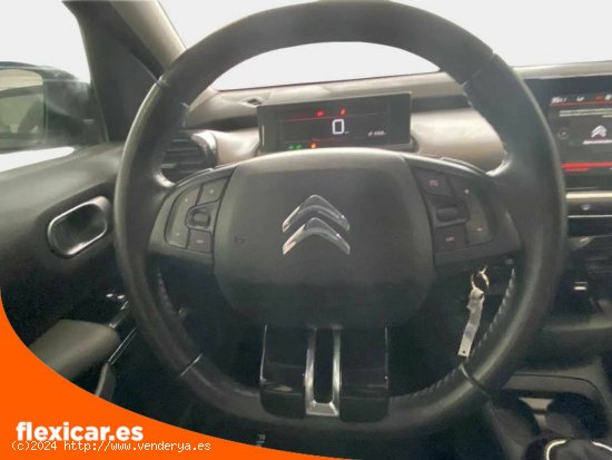 Citroën C4 Cactus BlueHDi 73KW (100CV) Business - Puebla de Sancho Pérez