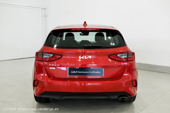 Kia Ceed 1.6 MHEV iMT DRIVE - A Coruña