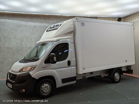  Fiat Ducato 2.3 MJT 150CV CARROZADO FRIGORIFICO FRA - Lugo 