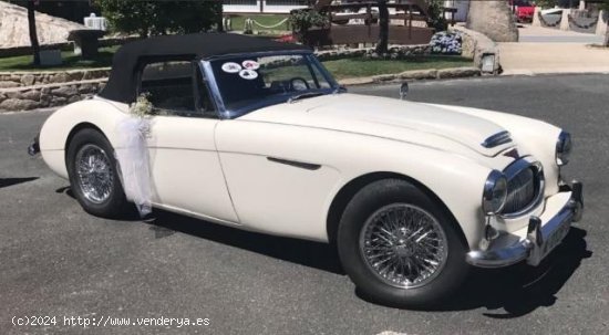 AUSTIN Healey en venta en Ourense (Ourense) - Ourense