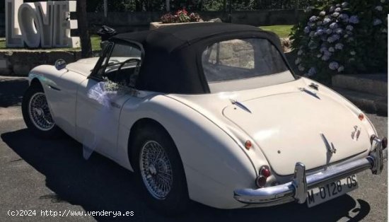 AUSTIN Healey en venta en Ourense (Ourense) - Ourense