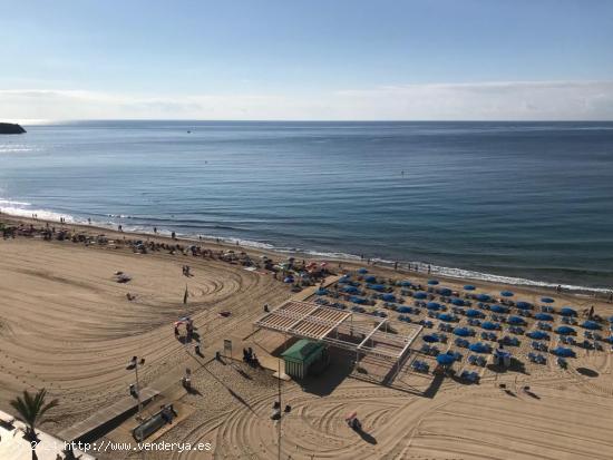 Alquiler anual piso dos dormitorios en playa levante - ALICANTE