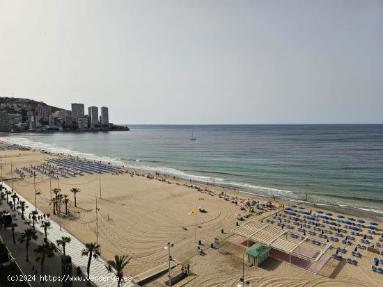 Alquiler anual piso dos dormitorios en playa levante - ALICANTE