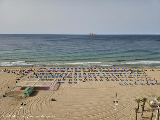 Alquiler anual piso dos dormitorios en playa levante - ALICANTE