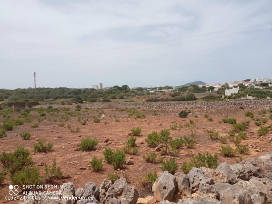 TERRENO URBANiZABLE ALAIOR- MENORCA  75 unidades - BALEARES