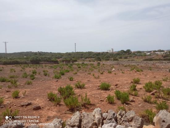 TERRENO URBANiZABLE ALAIOR- MENORCA  75 unidades - BALEARES