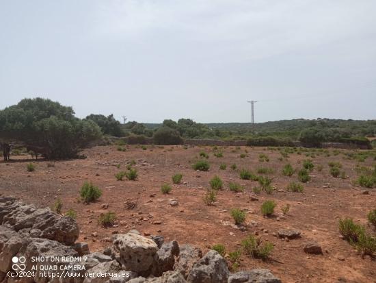 TERRENO URBANiZABLE ALAIOR- MENORCA  75 unidades - BALEARES