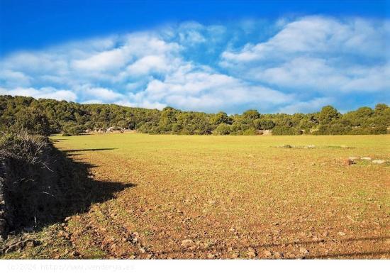 CASA DE CAMPO, MENORCA, BALEARES, CON LICENCIA TURÍSTICA - BALEARES