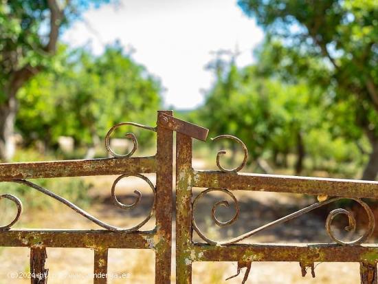 CASA DE CAMPO FINCA RÚSTICA MENORCA, ISLAS BALEARES - BALEARES