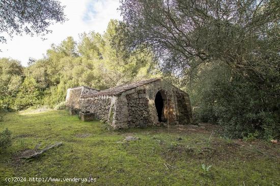 CASA DE CAMPO DE GRAN VALOR MEDIOAMBIENTAL, EN EL CENTRO DE LA ISLA DE MENORCA - BALEARES