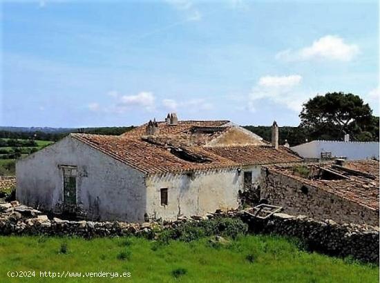 CASA DE CAMPO EN EXPLOTACIÓN, MENORCA ISLAS BALEARES. - BALEARES