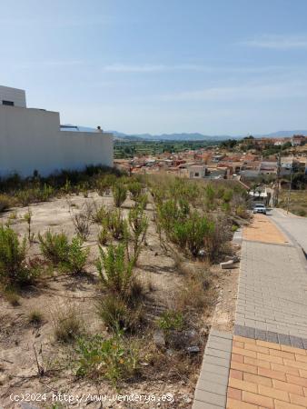 PARCELA DE SUELO URBANO EN RIBERA DE MOLINA - MURCIA