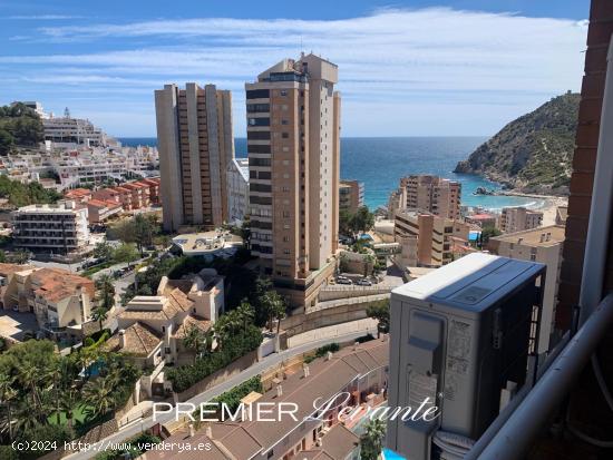 PISO EN BENIDORM PONIENTE - ALICANTE