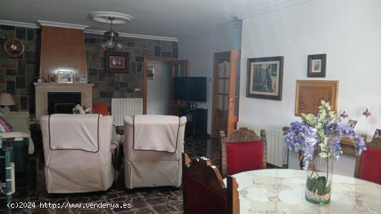 VENTA DE GRAN CASA EN MOLINA DE SEGURA - MURCIA