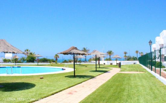 Apartamento en 1ª línea de mar, playa La Barrosa - CADIZ