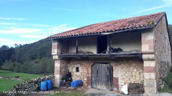 Se Vende en Valdaliga - CANTABRIA