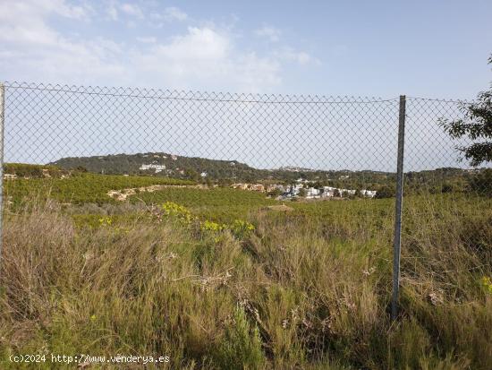 TERRENO EN VENTA - CHIVA, ZONA LAS MUELAS. - VALENCIA