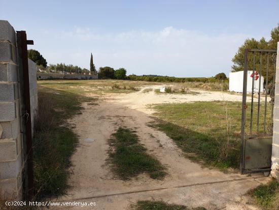 TERRENO EN VENTA - CHIVA, ZONA LAS MUELAS. - VALENCIA