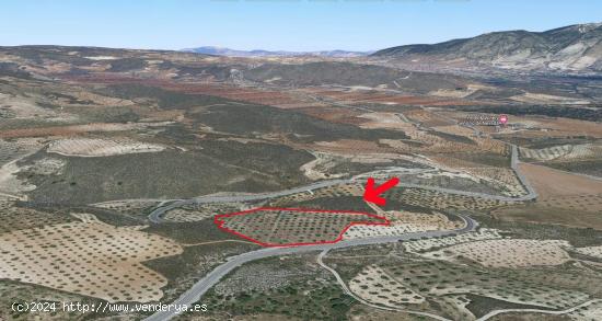 FINCA RÚSTICA EN VENTA - GRANADA