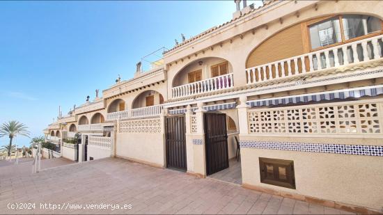 Bungalow PLAYA primera línea - ALICANTE