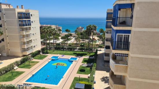 Apartamento en la PLAYA DE ARENALES - ALICANTE