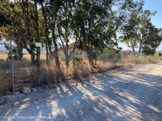 Finca con vivienda en junto a La Manga Club, zona Los Belones - MURCIA