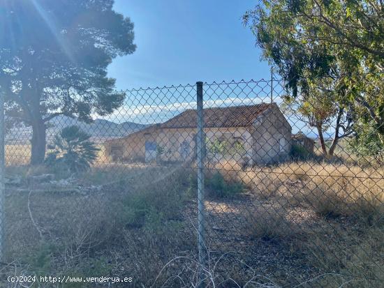 Finca con vivienda en junto a La Manga Club, zona Los Belones - MURCIA