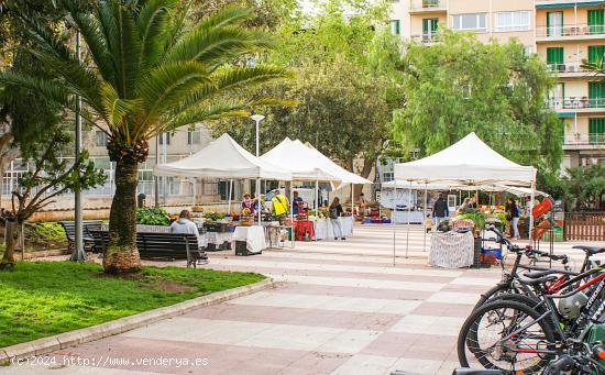 Para constructores edificio con proyecto y licencia de reforma centro de Palma - BALEARES