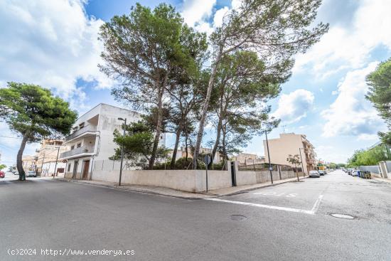 Solar Urbano en S'Illot-Manacor: A 500 Metros de la Playa - BALEARES