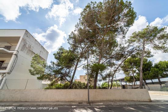 Solar Urbano en S'Illot-Manacor: A 500 Metros de la Playa - BALEARES