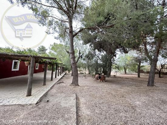 ++Increíble finca rústica entre Murcia y San Javier++ - MURCIA