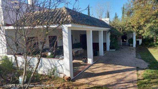 SE VENDE FINCA RUSTICA ZONA ROMERAL - CADIZ