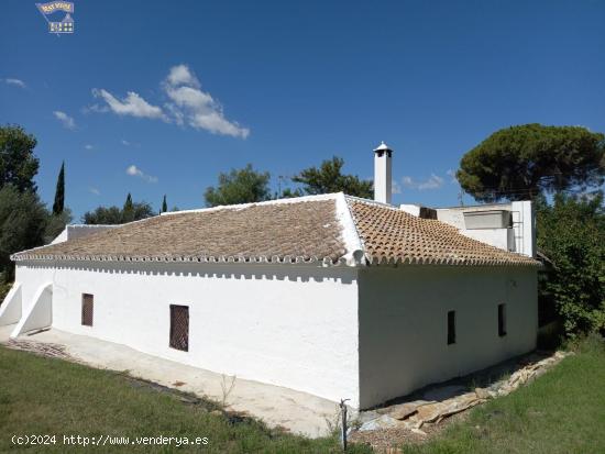 SE VENDE FINCA RUSTICA ZONA ROMERAL - CADIZ