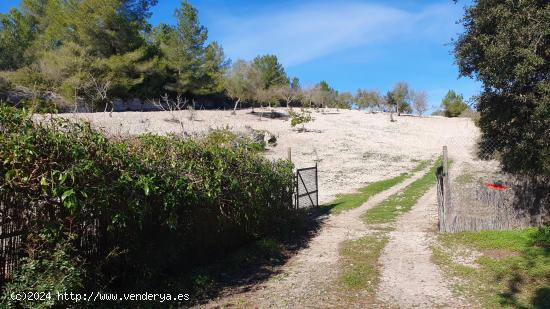 Terreno libre en Montuiri de 5.452m2 con caseta de 20m2 + otra de 7m2. - BALEARES