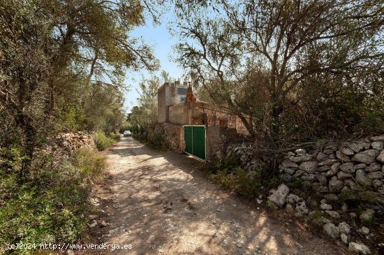 SE VENDE FINCA RÚSTICA EN PORRERAS CON 7500M² DE TERRENO - BALEARES